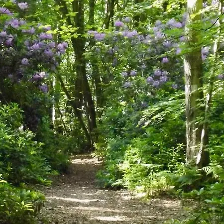Les Du Mesnil Deluxe 3*