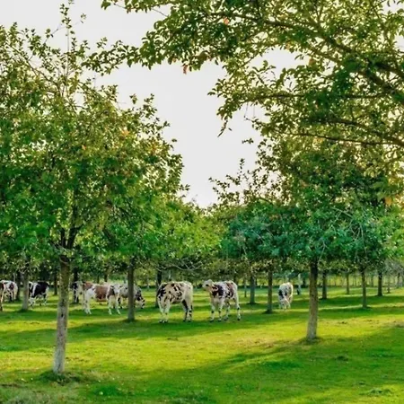 לינה וארוחת בוקר Les Du Mesnil Superieure Équemauville
