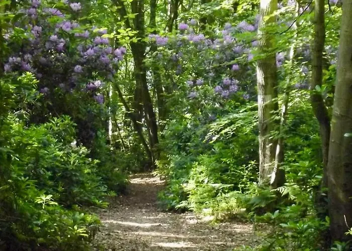 Les Du Mesnil Deluxe 3*