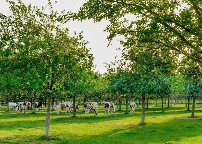 Nocleg ze śniadaniem Les Du Mesnil Deluxe Équemauville